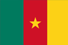 flag_